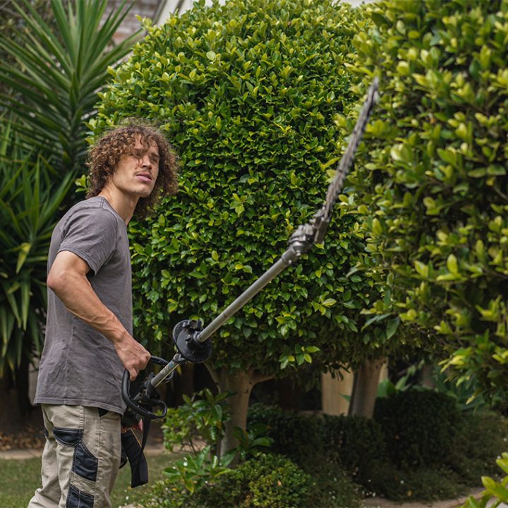 forests_hedge_trimming_2_760